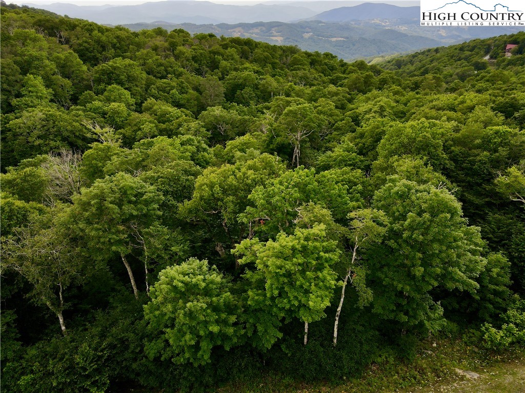 Fox Crest Road Beech Mountain, NC 28604 - Photo 9 of 21 a view of a field of grass and trees
