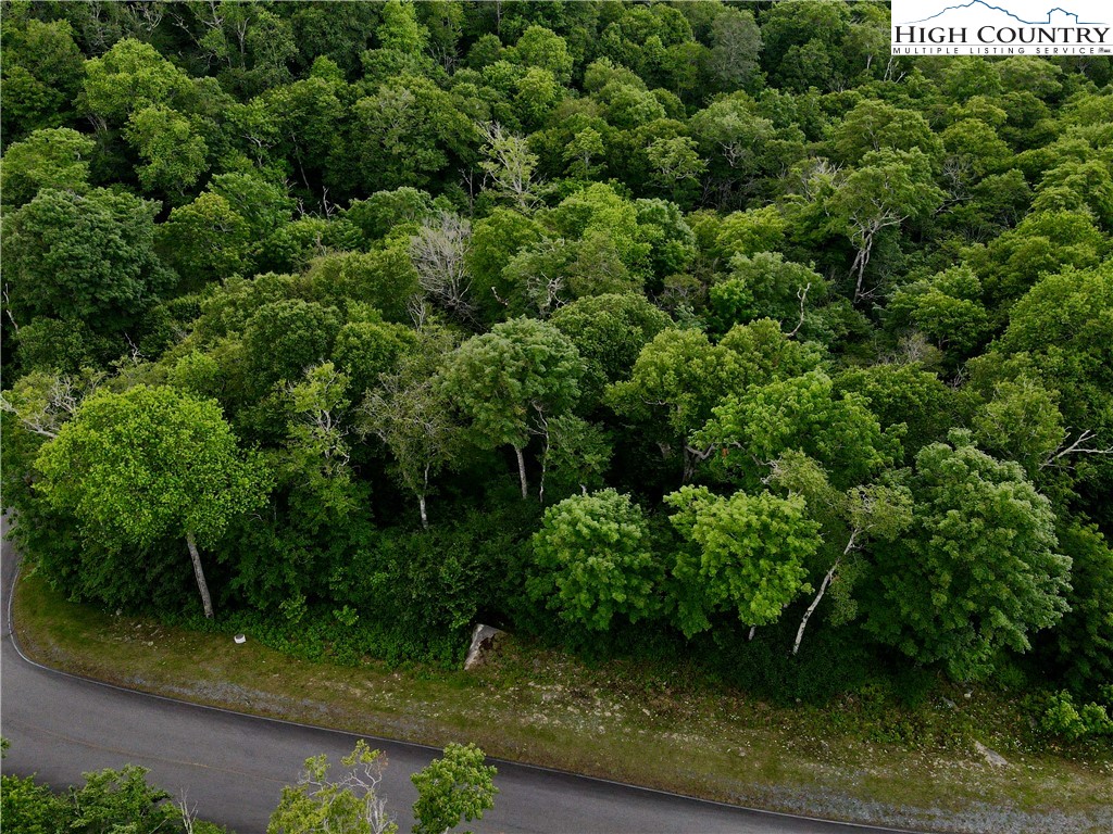 Fox Crest Road Beech Mountain, NC 28604 - Photo 10 of 21 an aerial view of a house with a yard