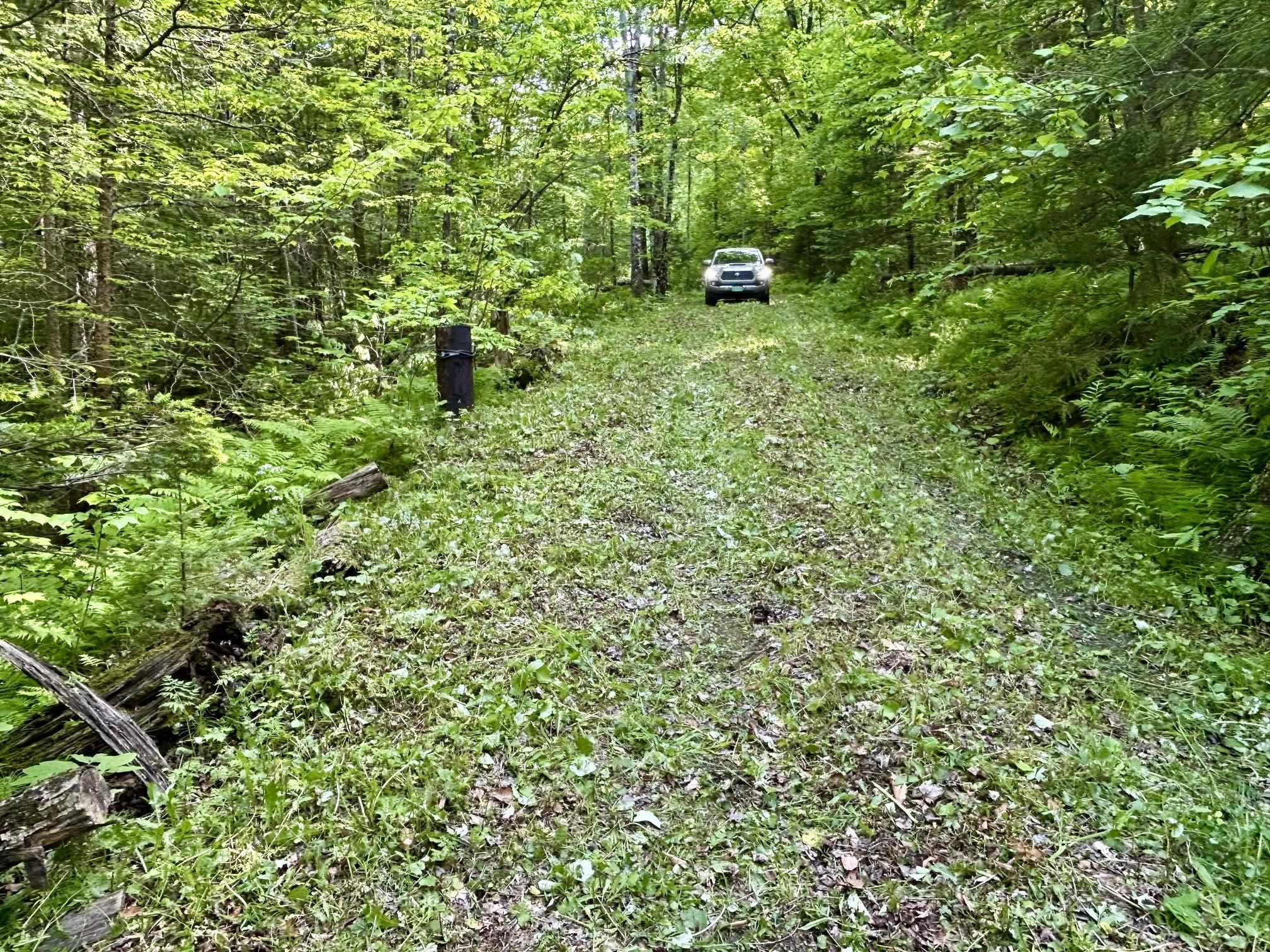 0 Williamstown Road Chelsea, VT 05038 - Photo 5 of 22
