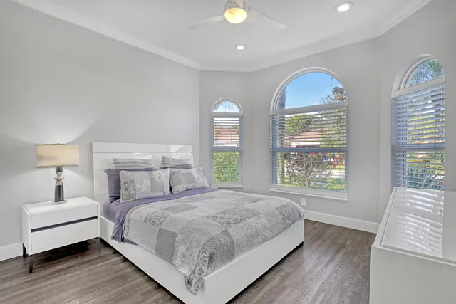 a view of a yard with plants and large trees