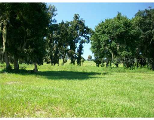 Bozeman Road Dade City, FL 33525 - Photo 7 of 12 View