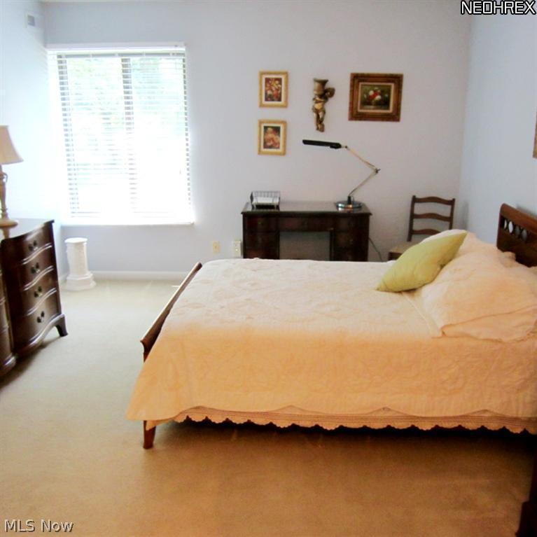 22960 Mastick Road, Unit 103 Cleveland, OH 44126 - Photo 9 of 18 SPACIOUS MASTER BEDROOM WITH GREAT CLOSET SPACE AND MASTER BATH.
