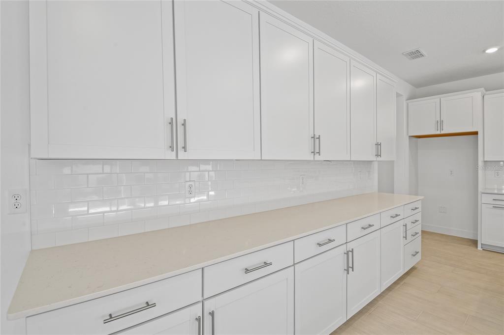 3716 Deer Rdg Drive Mount Dora, FL 32757 - Photo 6 of 23