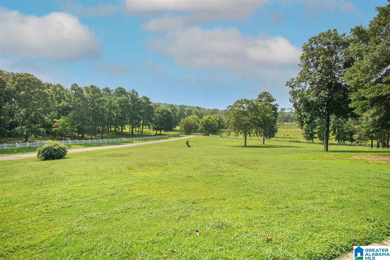 5315 Mays Bend Road Pell City, AL 35128 - Photo 40 of 50