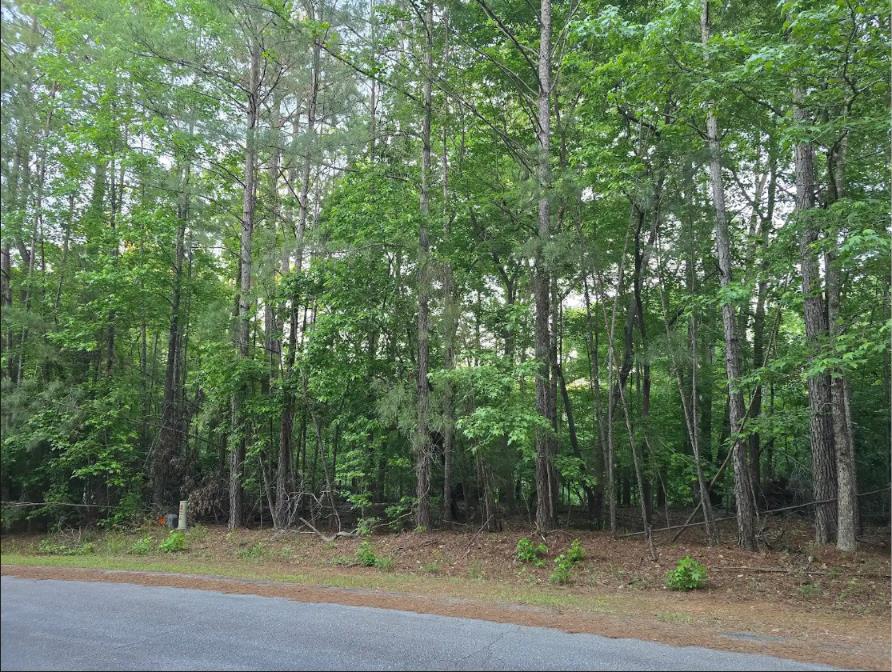 L25-b65 Crescent Drive McCormick, SC 29835 - Photo 1 of 4 Main View