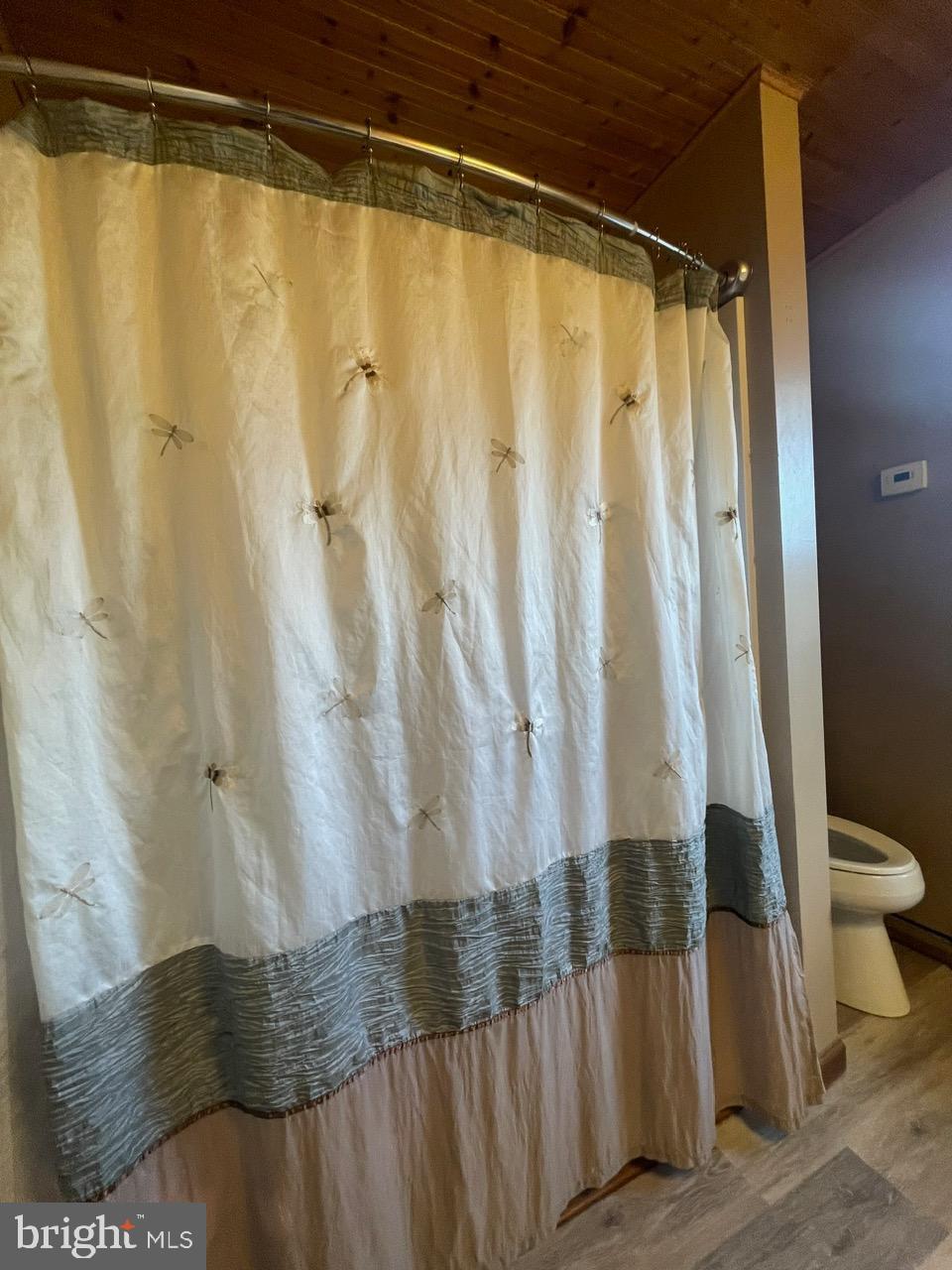 135 Lucknow Road Harrisburg, PA 17110 - Photo 30 of 37 a bathroom with a shower curtain and toilet