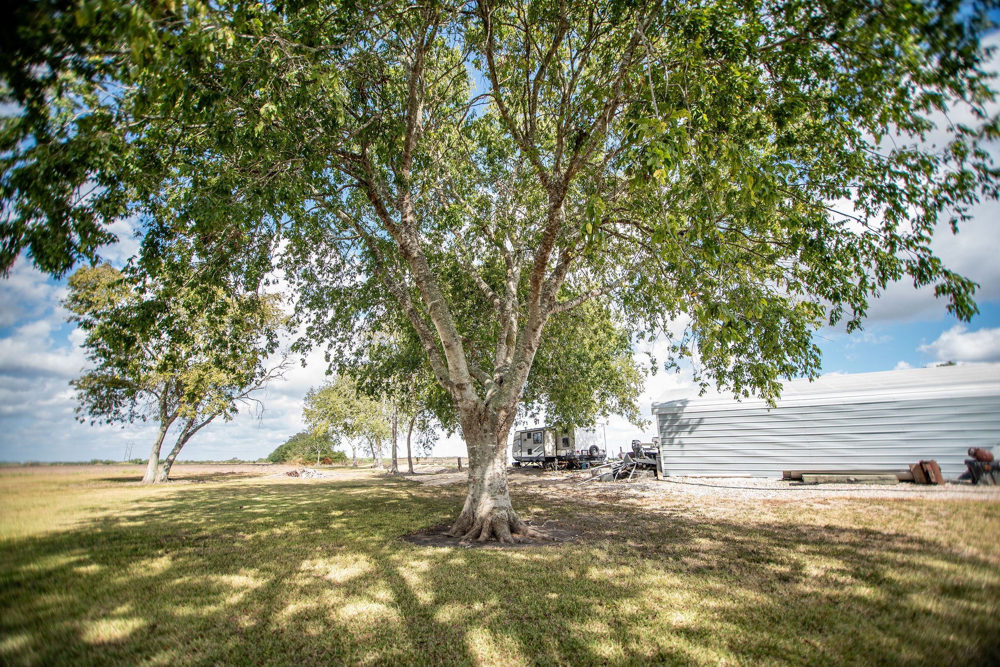 190 Hood Road Inez, TX 77968 - Photo 19 of 29 a view of a yard with a tree
