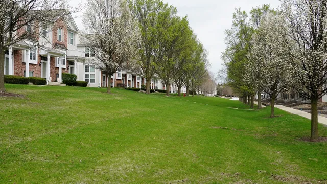 a view of lake with flowers and flowers