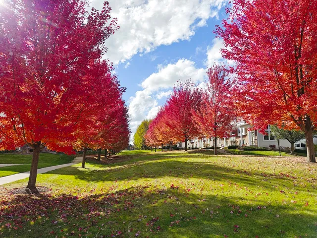 a view of city and lake