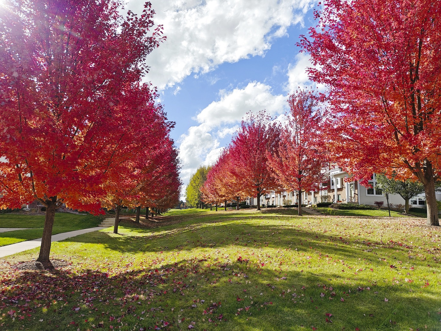 1204 Neubauer Circle, Unit 1304 Lindenhurst, IL 60046 - Photo 26 of 29 a view of a playground with basketball court