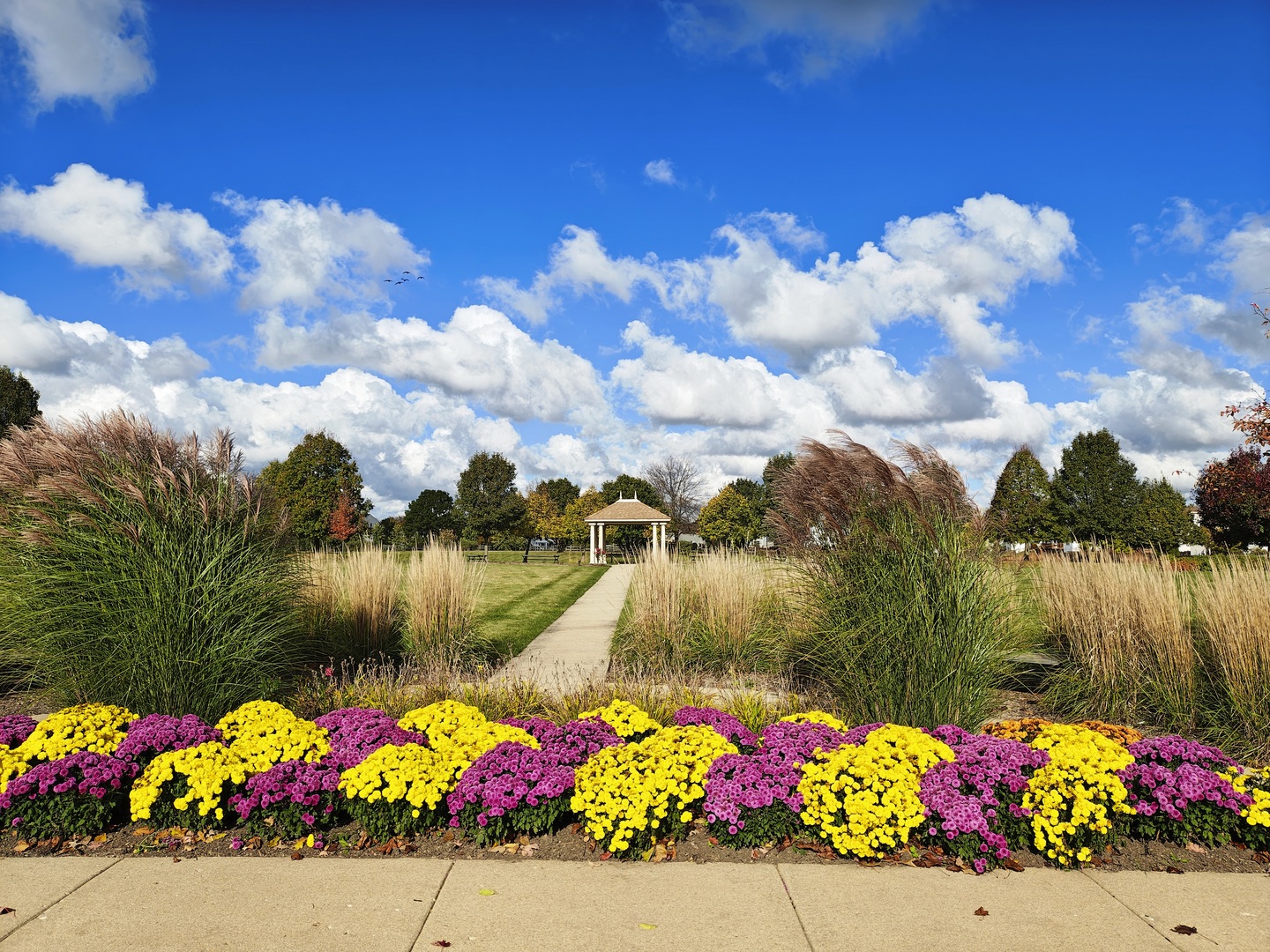 1204 Neubauer Circle, Unit 1304 Lindenhurst, IL 60046 - Photo 28 of 29 a view of lake with flowers and flowers