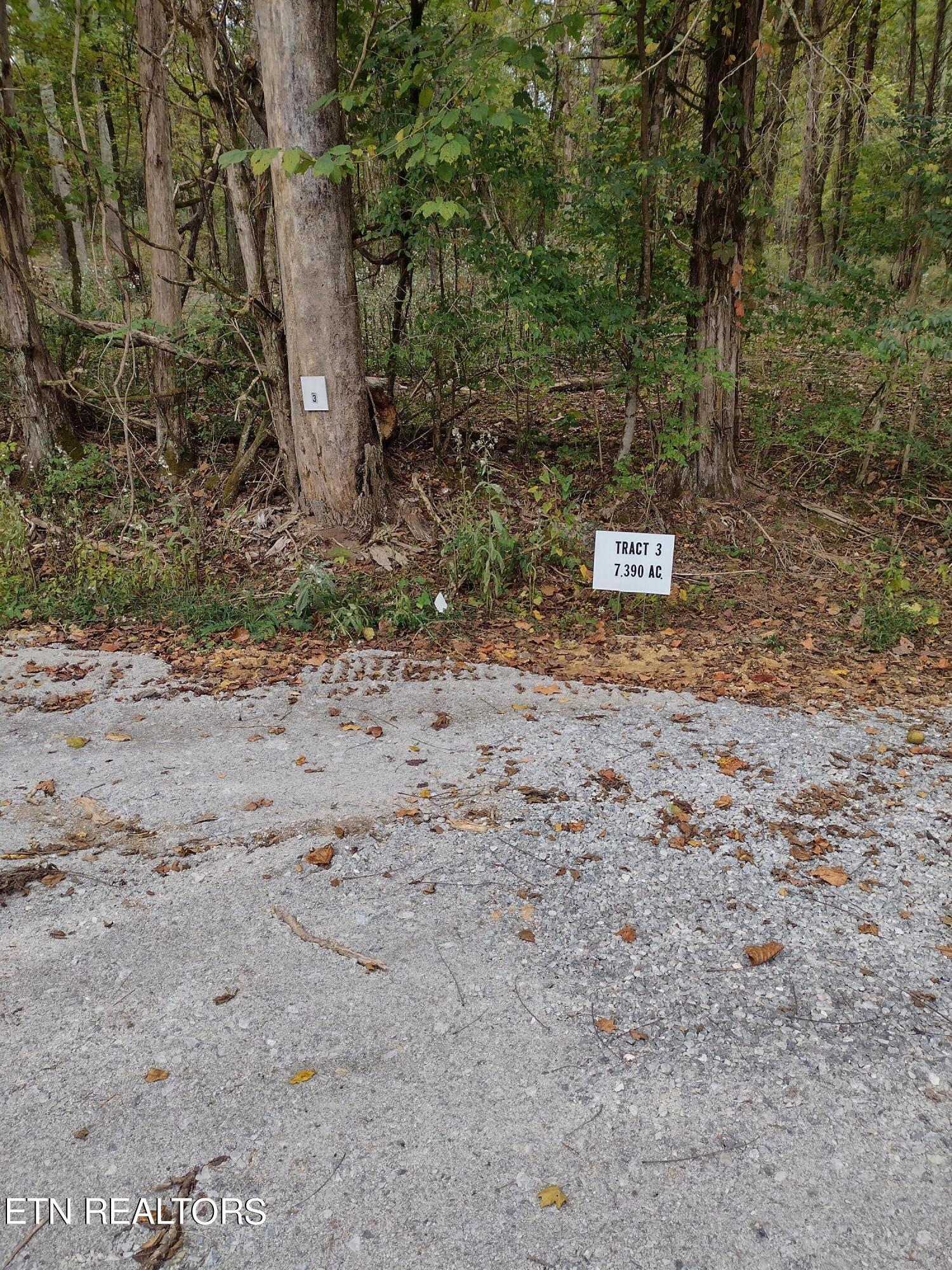 3 Miser Station Road Friendsville, TN 37737 - Photo 1 of 2 Tract 3