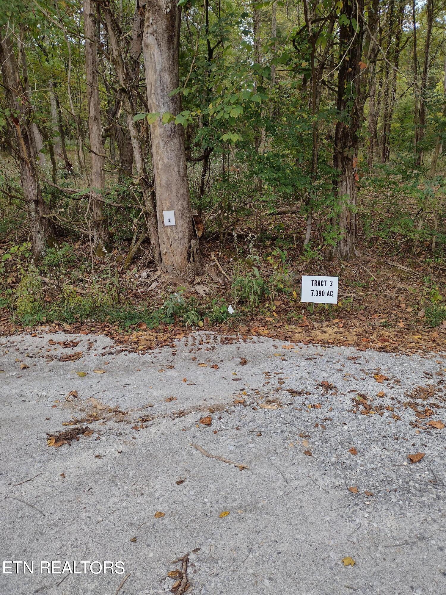 3 Miser Station Road Friendsville, TN 37737 - Photo 2 of 2 Tract 3
