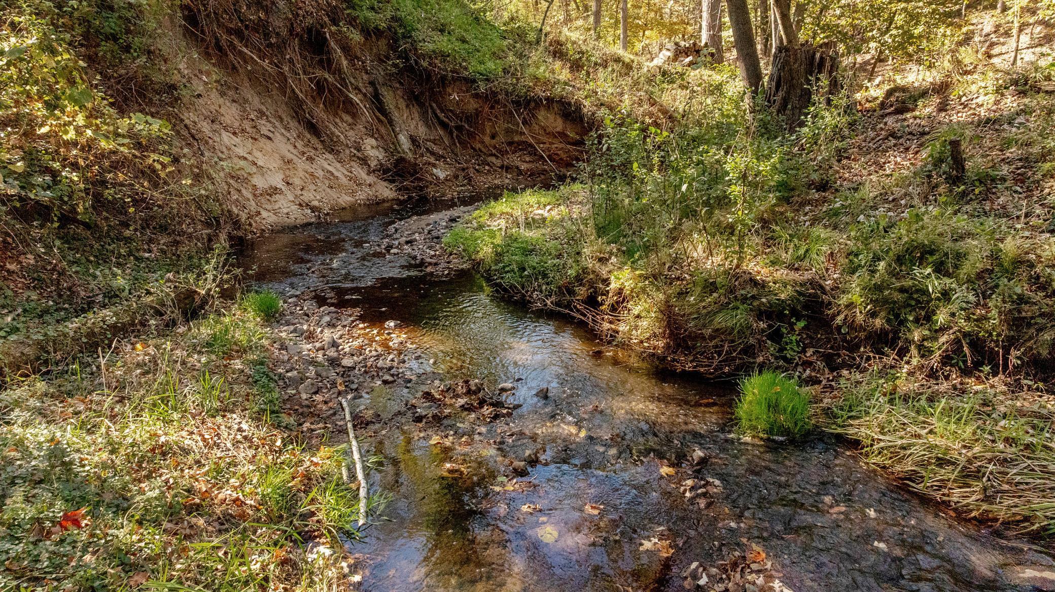 1622 Graydon Avenue Brainerd, MN 56401 - Photo 4 of 45