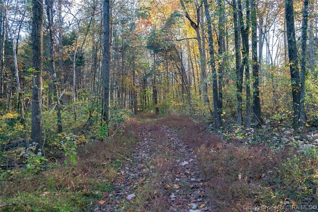 32.84-acres Fogel Road Southeast Corydon, IN 47112 - Photo 13 of 23 Gallery Image 13