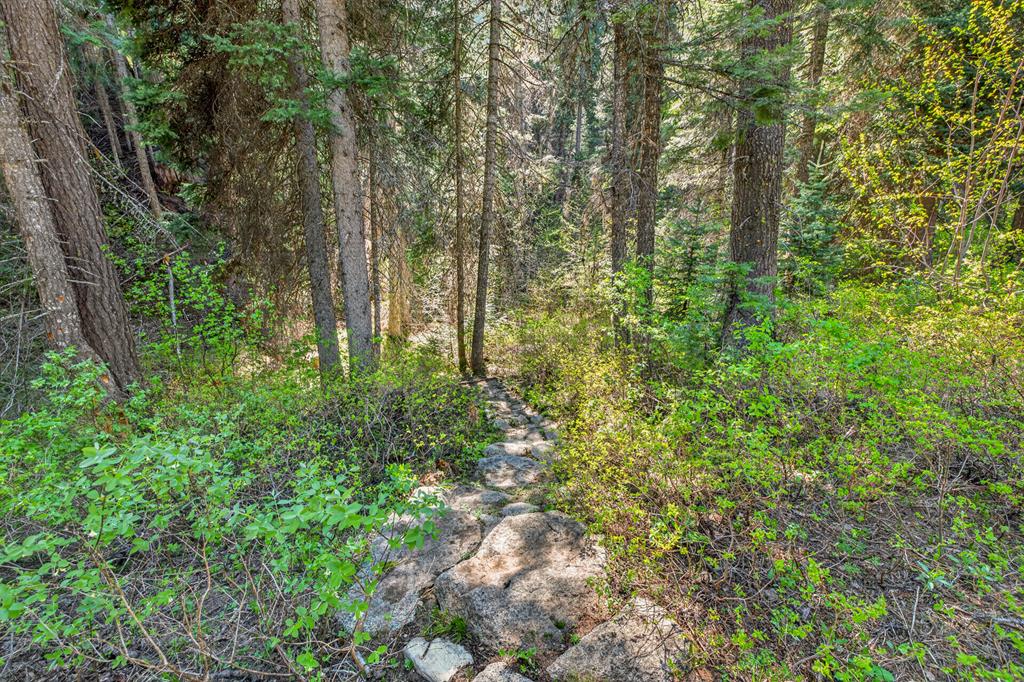 31 Eagle Trail Cascade, ID 83611 - Photo 43 of 50 Duck Creek, Your own private huckleberry patch