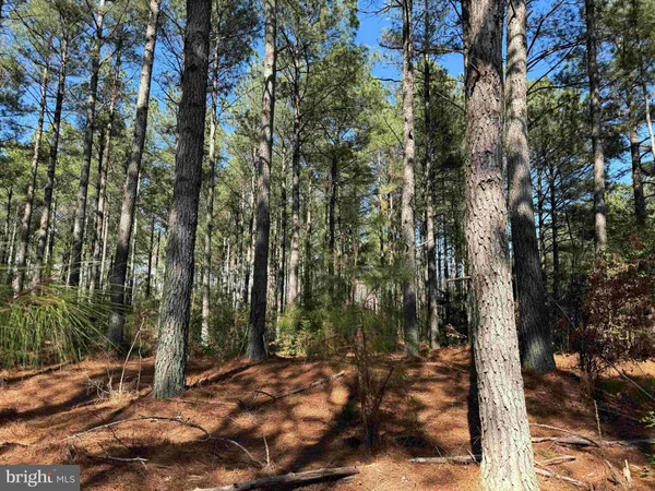 $8,250,000 | 14 (tract Tanager Et2-2031), North, VA 23128