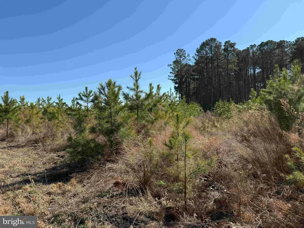 $8,250,000 | 14 (tract Tanager Et2-2031), North, VA 23128