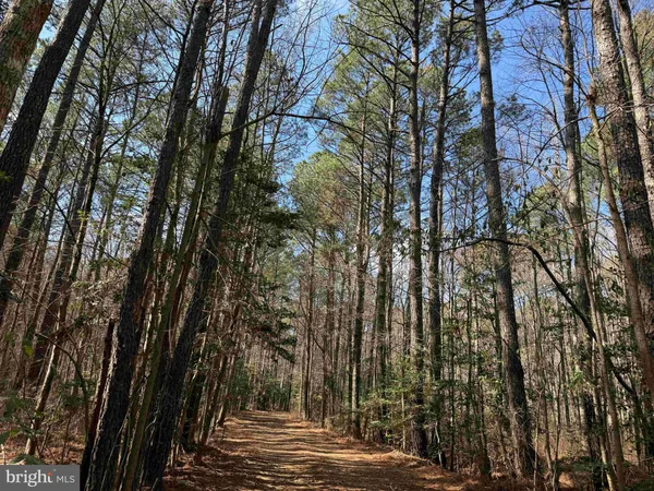 $8,250,000 | 14 (tract Tanager Et2-2031), North, VA 23128