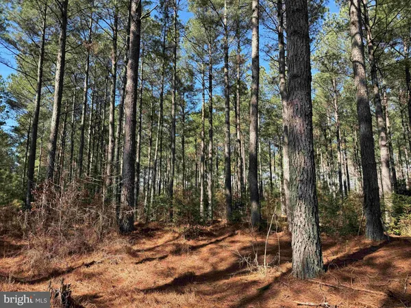 $8,250,000 | 14 (tract Tanager Et2-2031), North, VA 23128