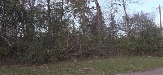 $75,000 | 0 45 Acres E Park Avenue, Hammond, LA 70403