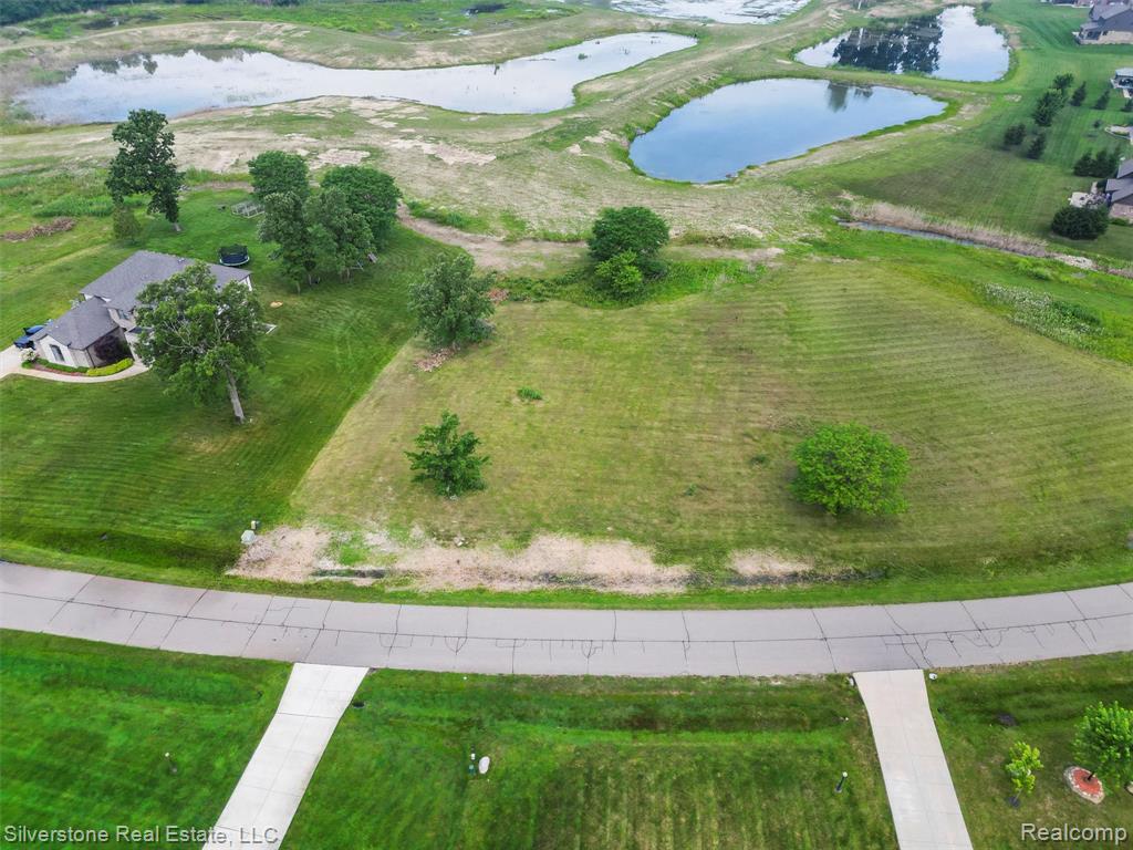11572 Erin's Way Romeo, MI 48065 - Photo 8 of 24