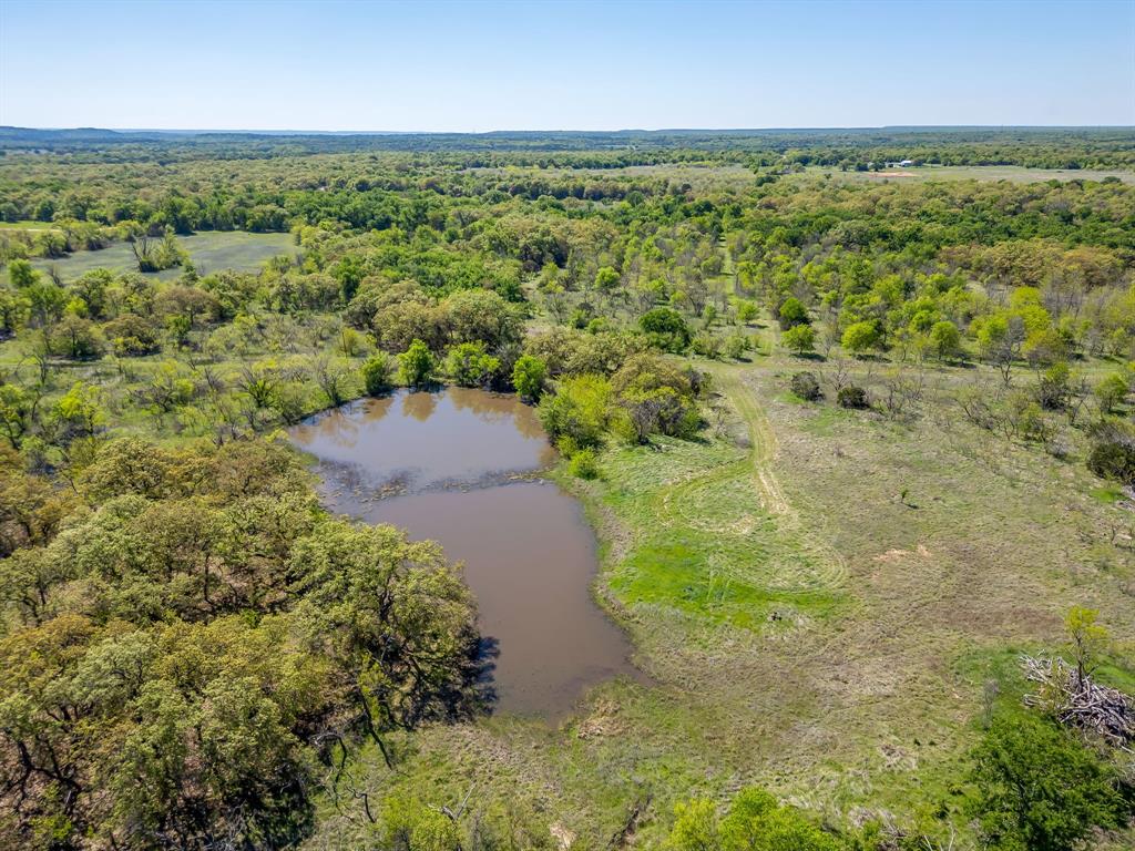 Tbd Teague Road Jacksboro, TX 76458 - Photo 16 of 33