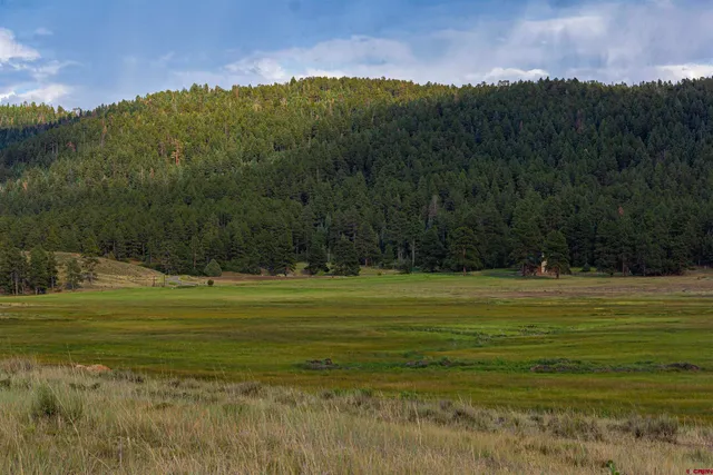 a view of a grassy field with an ocean