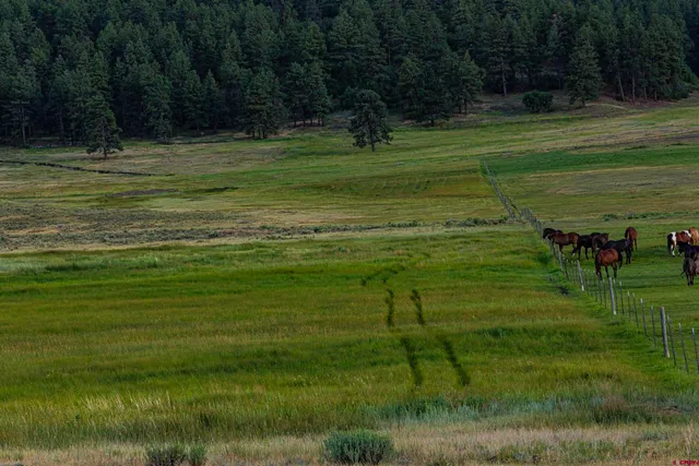 a view of a golf course