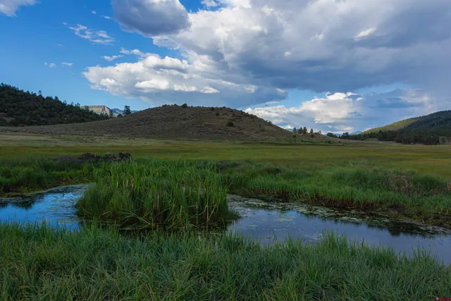 a view of a lake with a big yard