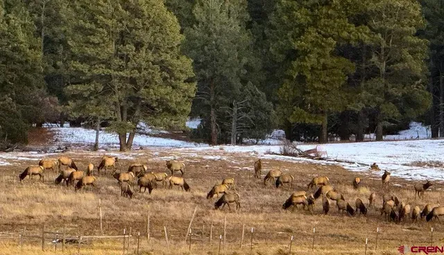 a view of a yard with snow