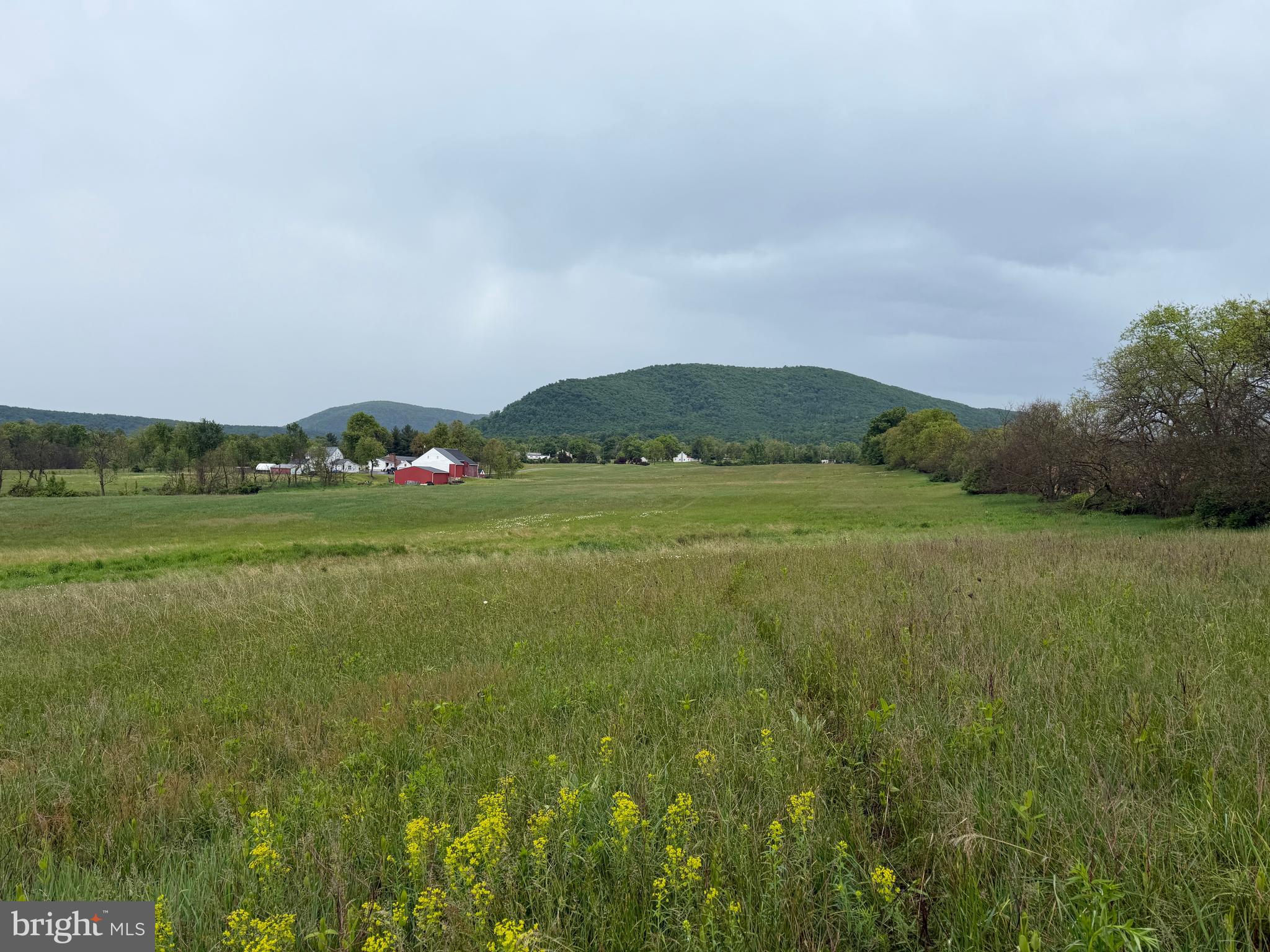 12591 Shimpstown Road Mercersburg, PA 17236 - Photo 55 of 147