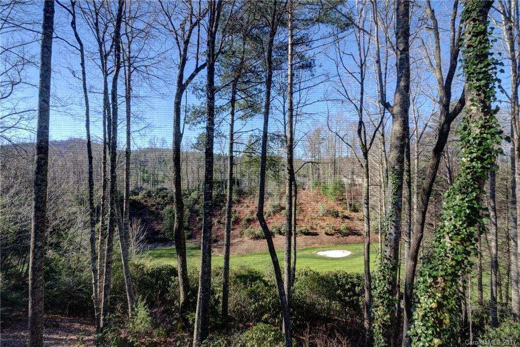 441 Boiling Springs Road, Unit 16 Sapphire, NC 28774 - Photo 20 of 24 Gallery Image 20