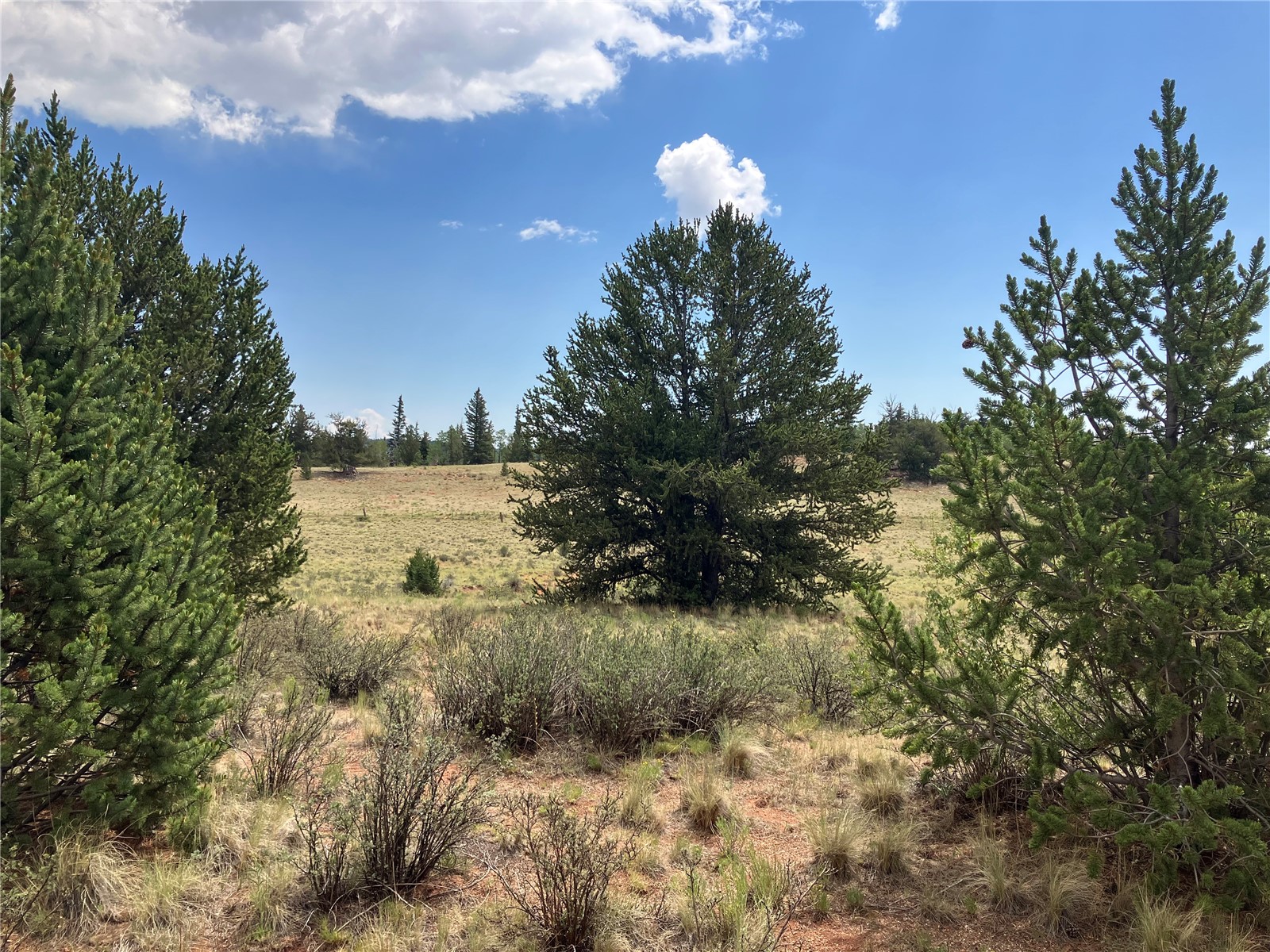 1344 Silver Heels Road Fairplay, CO 80440 - Photo 26 of 35