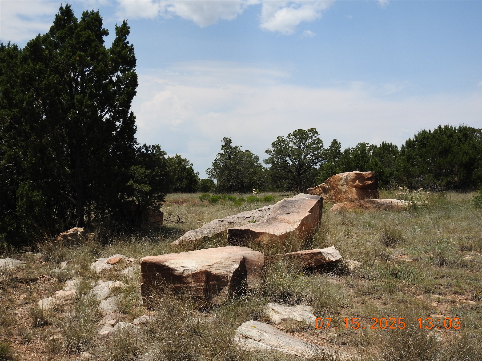 139 Apache Mesa Road Las Vegas, NM 87701 - Photo 16 of 23