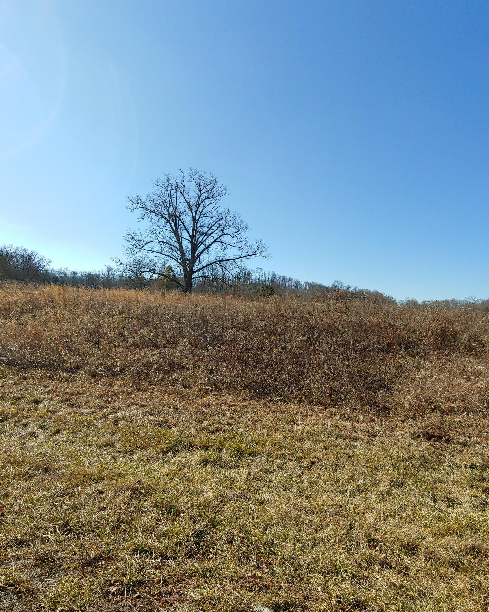 500 Hickory Tree Road Bristol, TN 37620 - Photo 1 of 1 500 HT pic