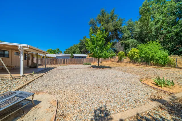 a view of a backyard with large trees and wooden fence