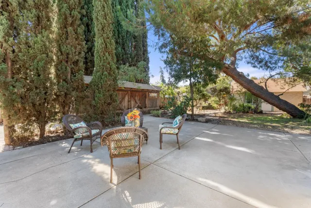 a view of a garden with plants