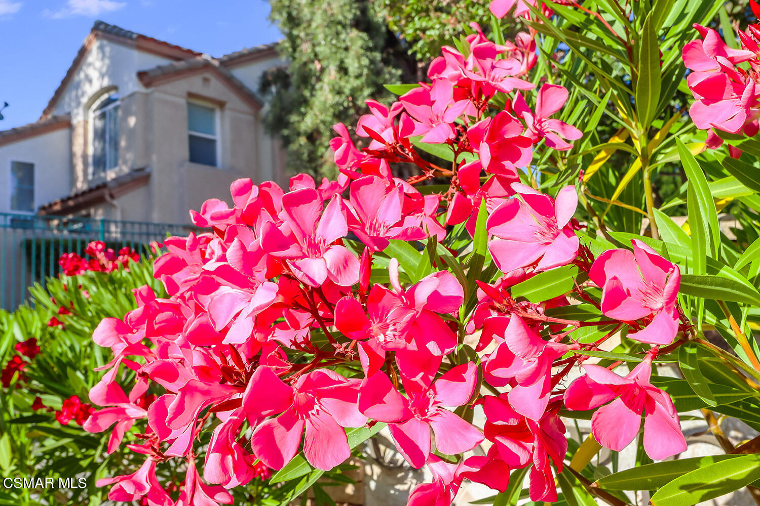 652 Cardinal Ridge Lane, Unit D Simi Valley, CA 93065 - Photo 3 of 44