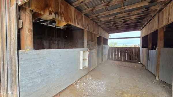 a view of a forest with skyline