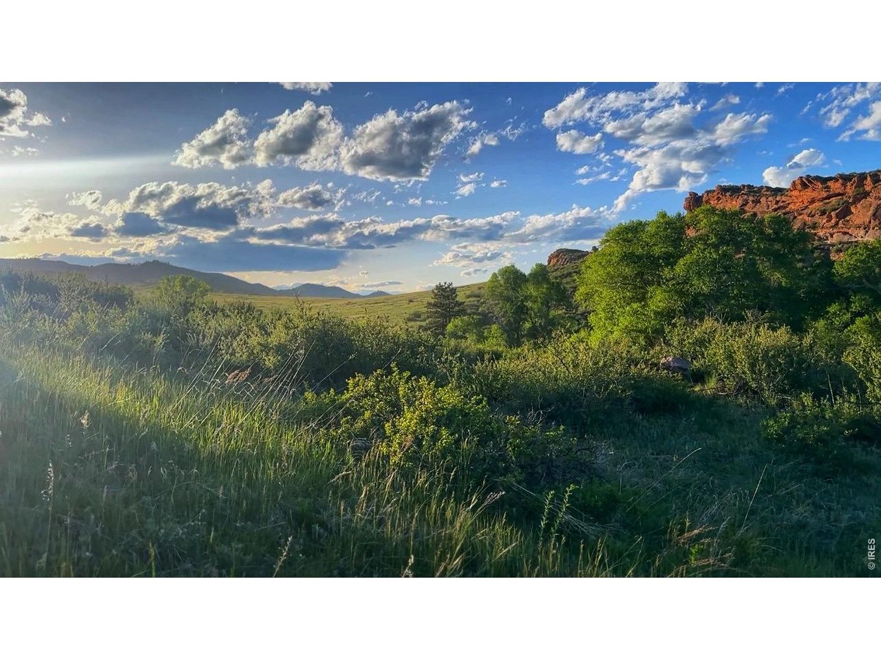 69 Juniper Ridge Road Laporte, CO 80535 - Photo 38 of 45 Amazing Property!