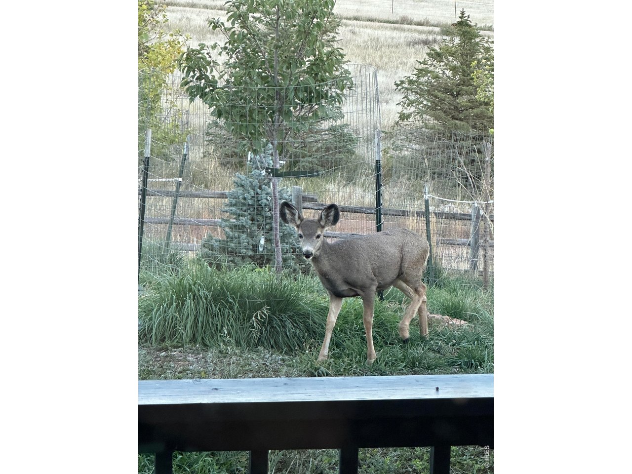 69 Juniper Ridge Road Laporte, CO 80535 - Photo 45 of 45