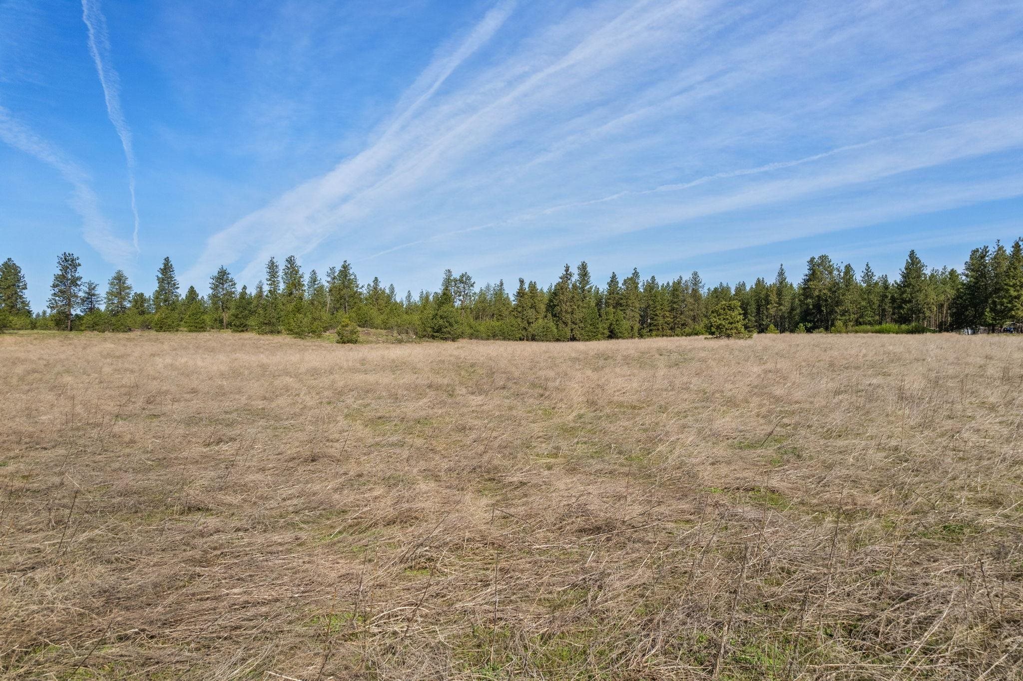 124-xx South Sherman Road Spokane, WA 99224 - Photo 6 of 15