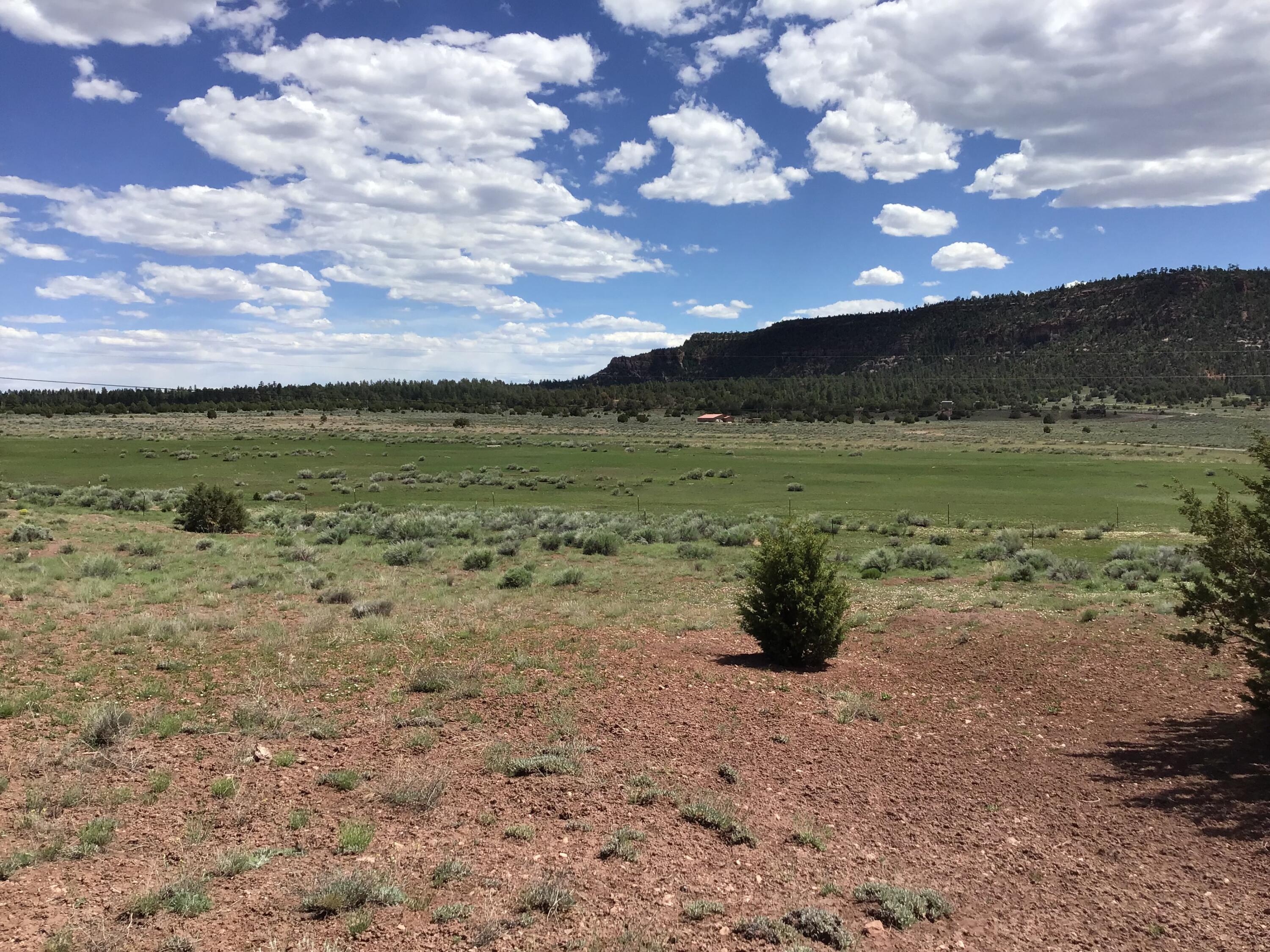 Lot D Timberlake Road Ramah, NM 87321 - Photo 7 of 45 Gallery Image 7