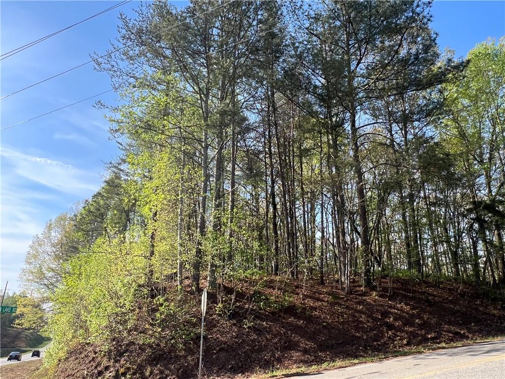 6425 Anderson Lake Road Dawsonville, GA 30534 - Photo 2 of 8 a view of a yard