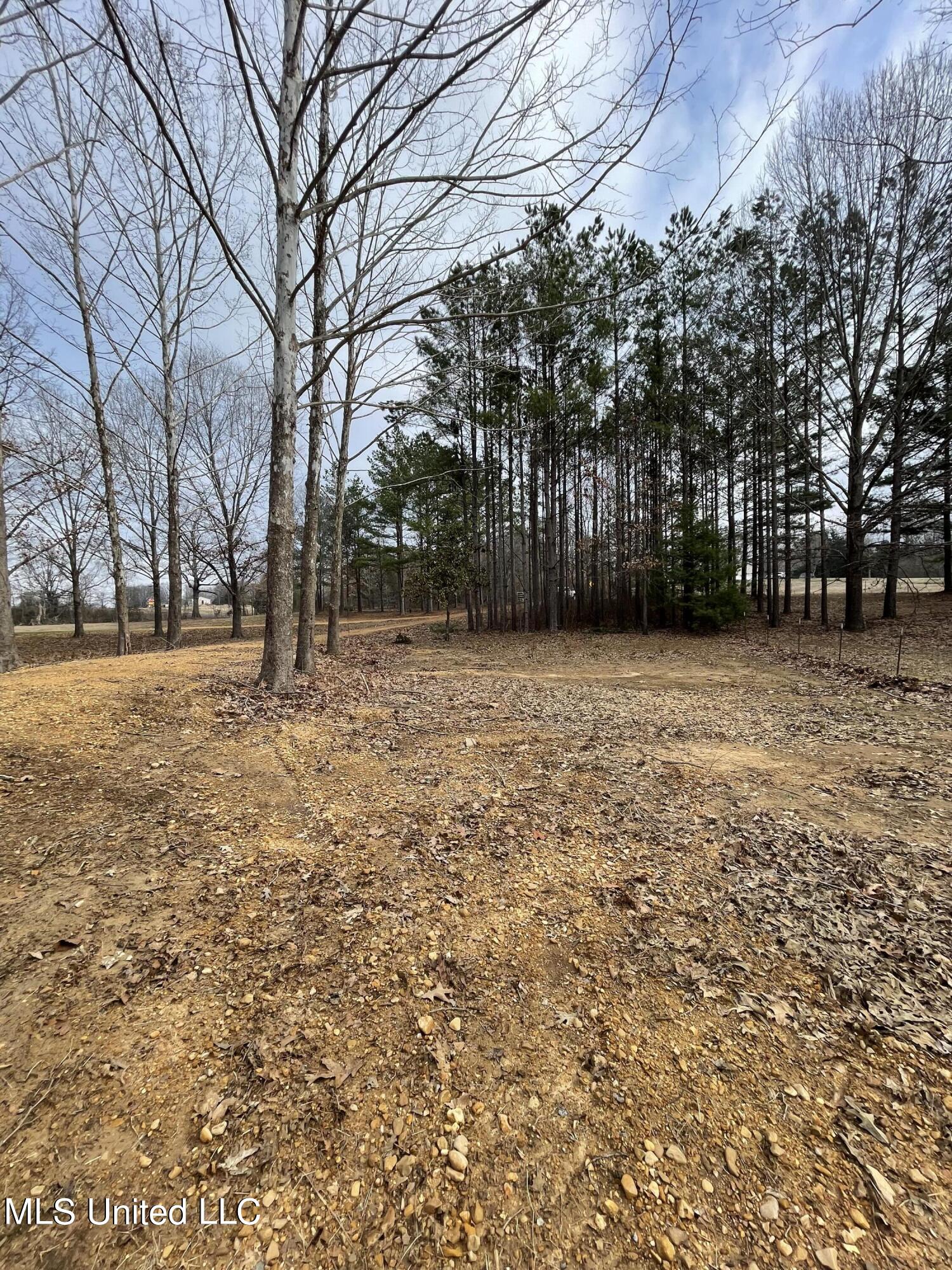 953 Walker Road Coldwater, MS 38618 - Photo 10 of 15 LAnd3