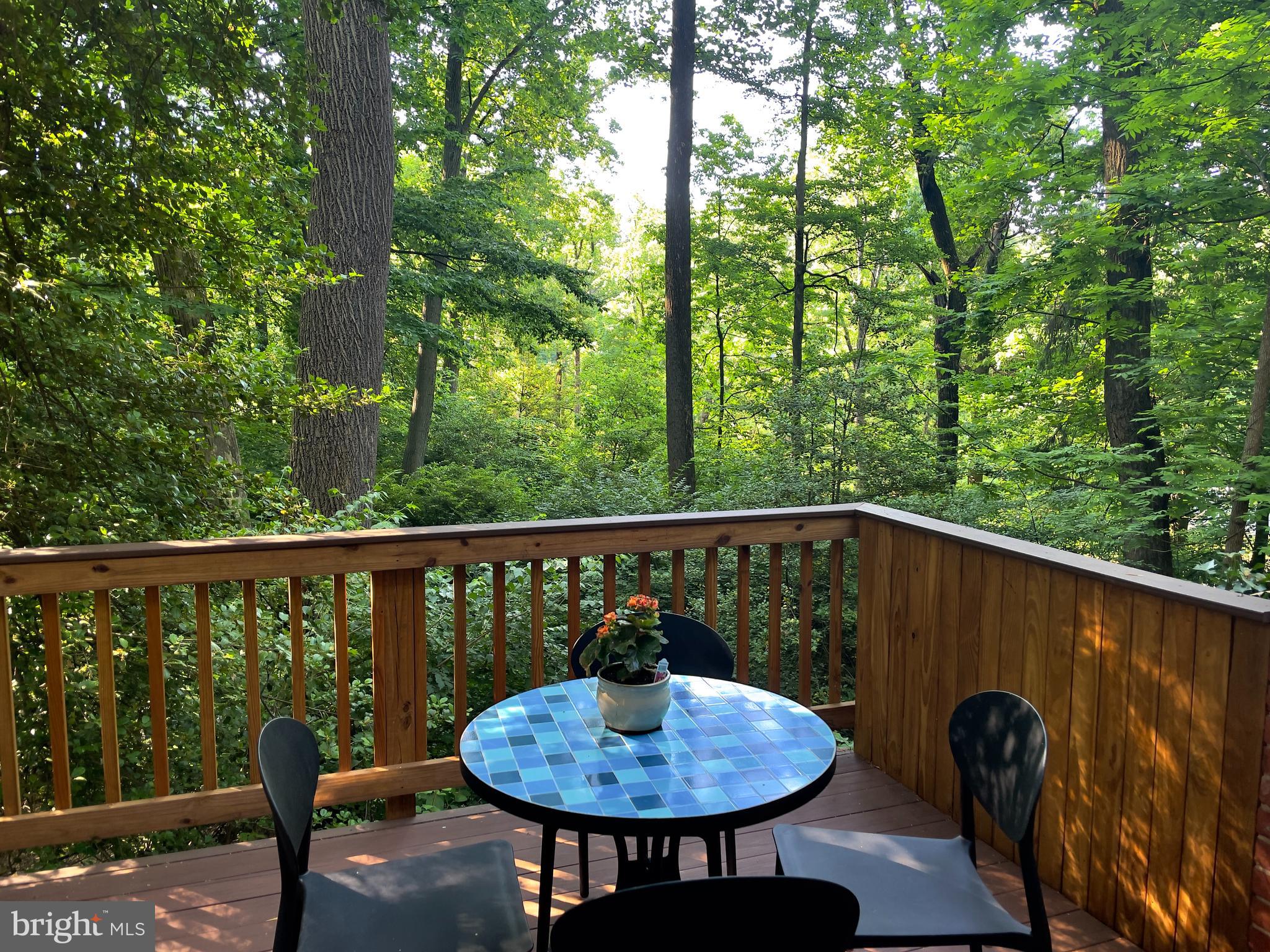 8515 Geren Road, Unit 213 Silver Spring, MD 20901 - Photo 26 of 28