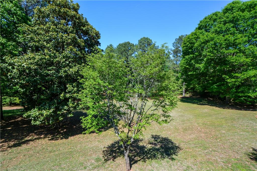 130 Hawn Road Fayetteville, GA 30215 - Photo 45 of 67 a view of a garden