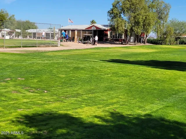a view of a garden with a tree in front of the house