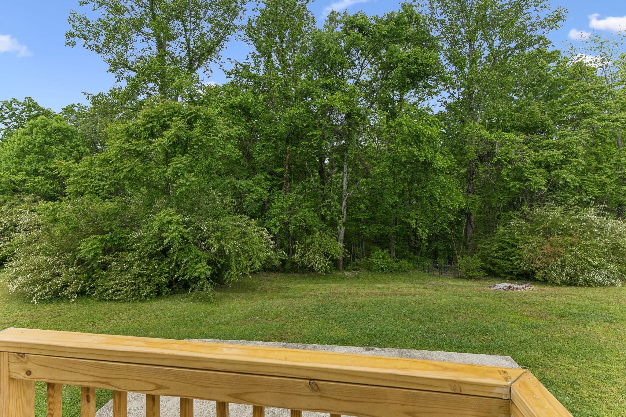 3908 Cedar Street Centerville, TN 37033 - Photo 29 of 31 a view of a field of grass and trees